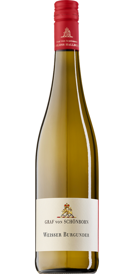 Flaschenbild